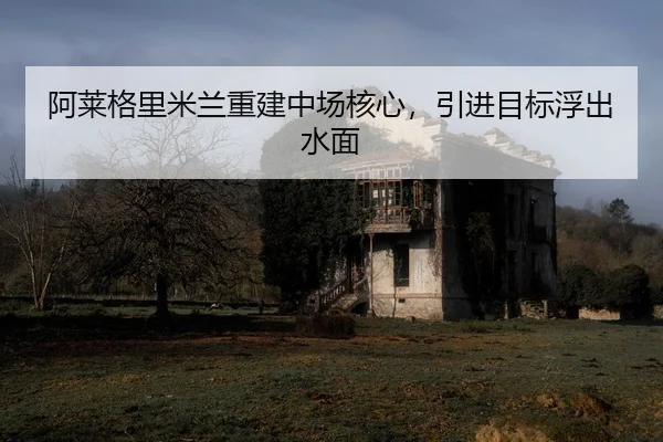 a-lai-ge-li-mi-lan-chong-jian-zhong-chang-he-xin-yin-jin-mu-biao-fu-chu-shui-mian-2-526.jpg