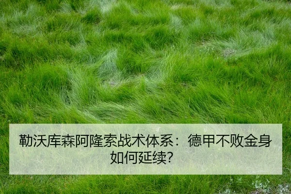 lei-wo-ku-sen-a-long-suo-zhan-shu-ti-xi-de-jia-bu-bai-jin-shen-ru-he-yan-xu-3-618.jpg