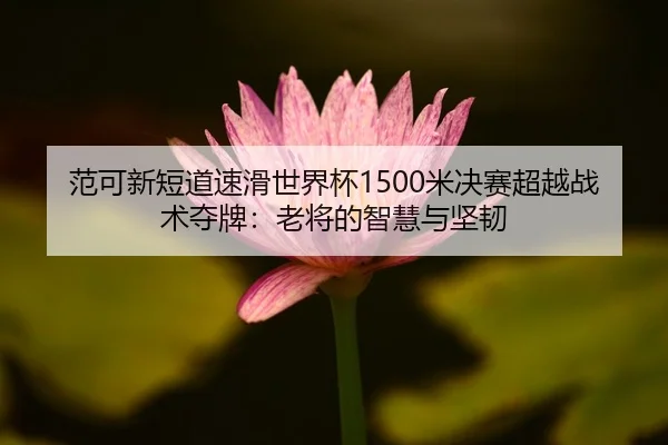 范可新短道速滑世界杯1500米决赛超越战术夺牌：老将的智慧与坚韧