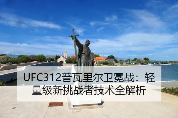 pu-wa-li-er-wei-mian-zhan-qing-liang-ji-xin-tiao-zhan-zhe-ji-shu-quan-jie-xi-3-802.jpg