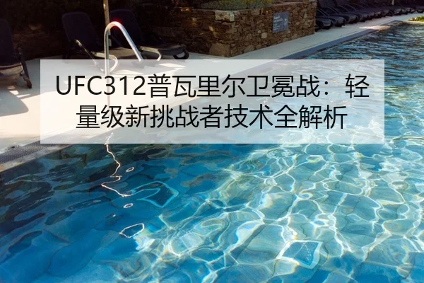 UFC312普瓦里尔卫冕战：轻量级新挑战者技术全解析