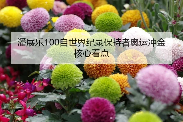 潘展乐100自世界纪录保持者奥运冲金核心看点