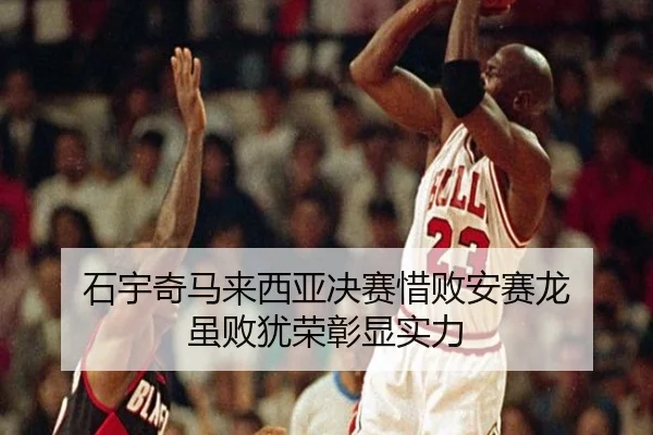 石宇奇马来西亚决赛惜败安赛龙 虽败犹荣彰显实力